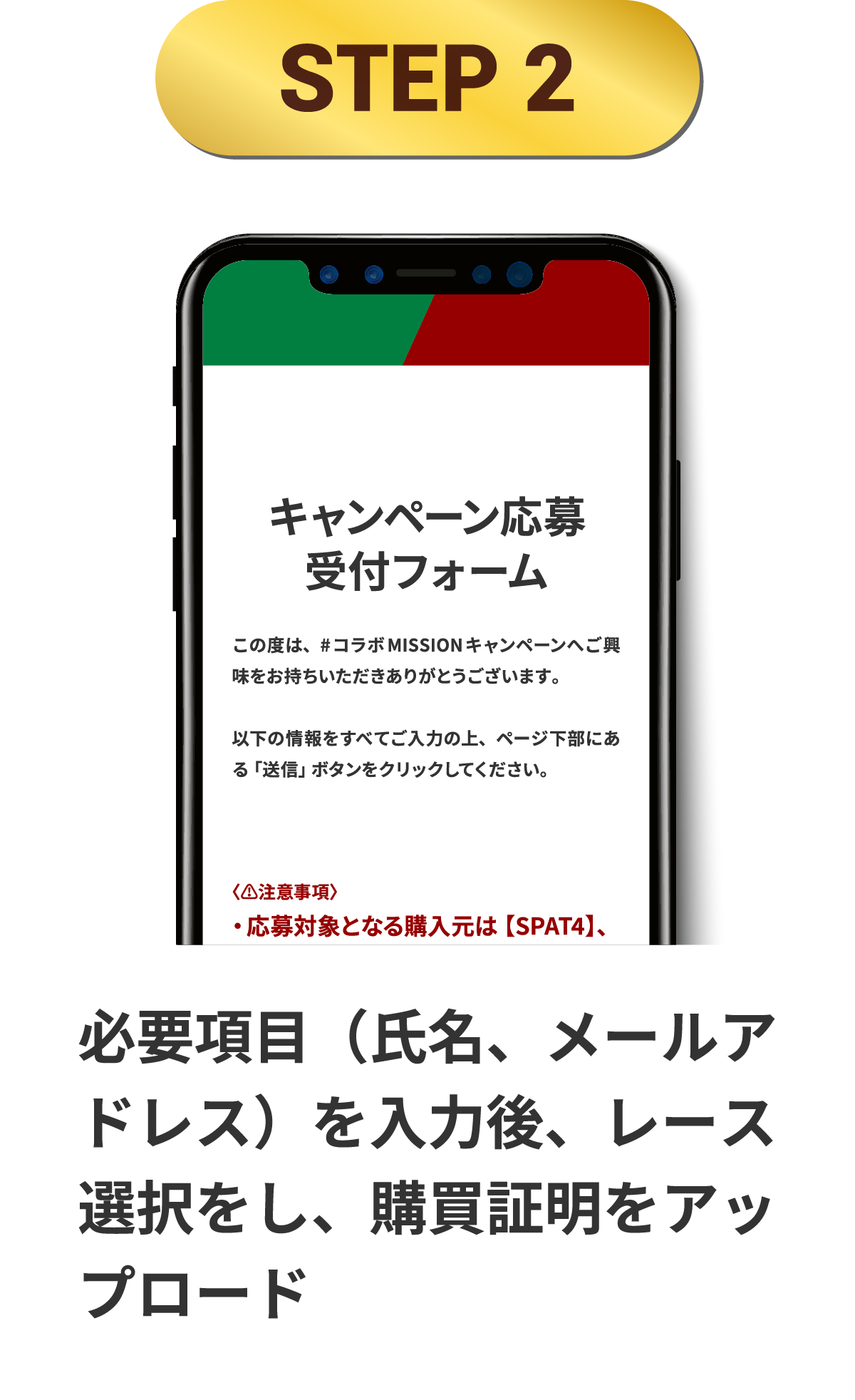 STEP 2 必要項目(氏名、メールアドレス)を入力後、レース選択をし、購買証明をアップロード
